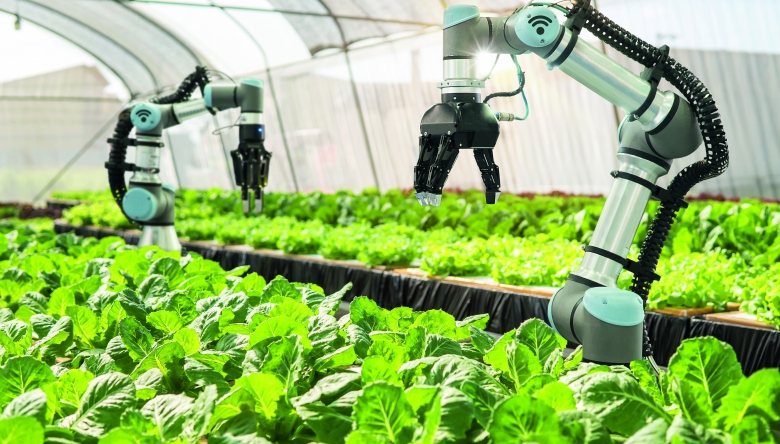 Roboter in Glashaus im Einsatz. (Bild © Adobe Stock/Pugun & Photo Studio)