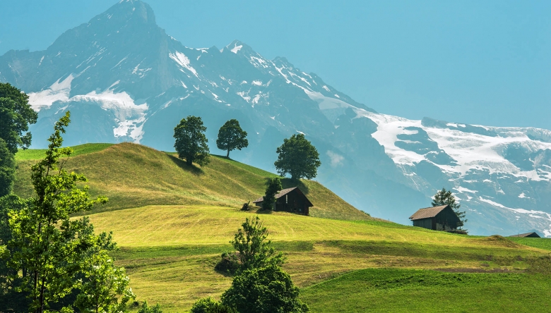 Foto einer Alm mit Berg im Hintergrund