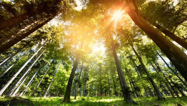 Bodenstrategie der Schweiz (Quelle: Adobestock chlorophylle)