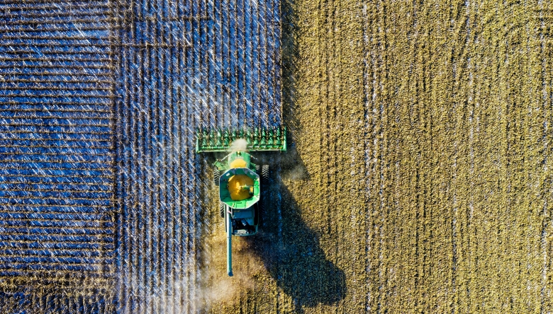Das Projekt ae.s will eine Brücke zwischen Produzenten und Konsumenten schlagen (c) pexels_tom fisk