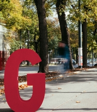 Buchstabe "G" von Goldbach in einem Park