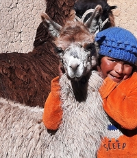 Junge mit einem Lama